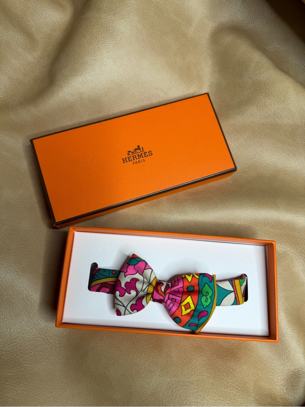 Hermes Multicolor Bow Tie